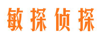 西峡找人公司